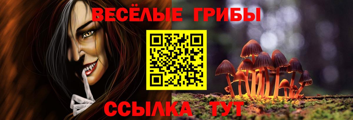 хочу наркоту  Вход с VPN  Шахты  Галлюциногенные грибы Psilocybine cubensis 